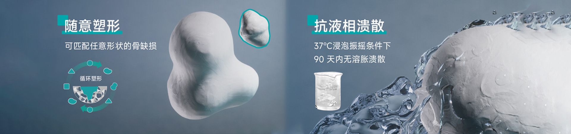 再生骨