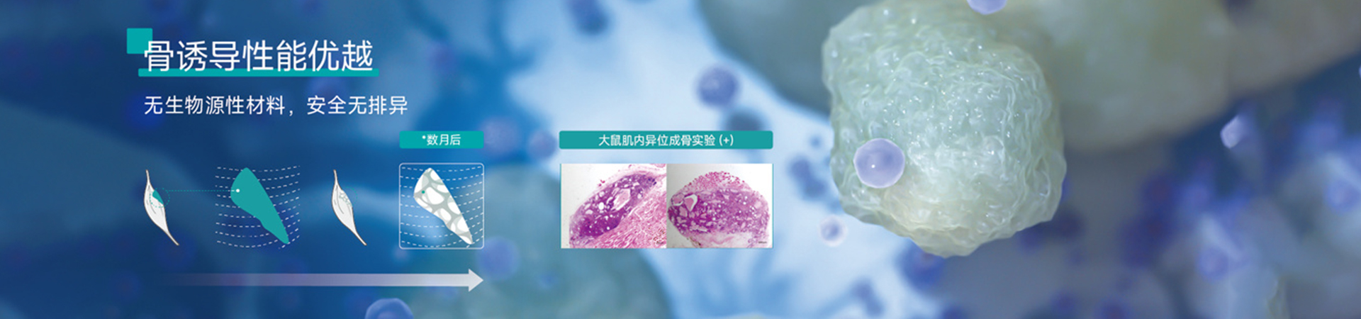女娲石